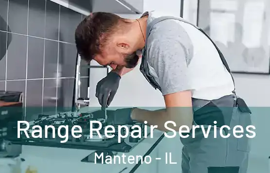  Range Repair Services Manteno - IL