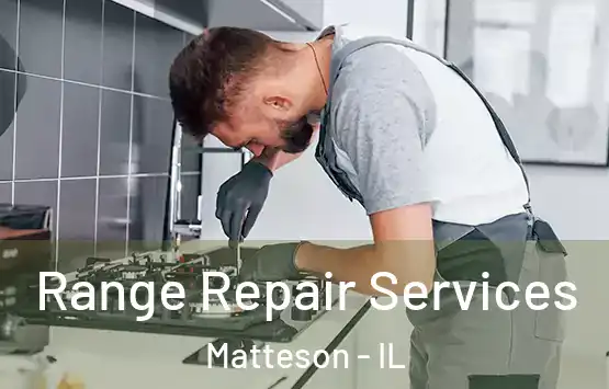 Range Repair Services Matteson - IL