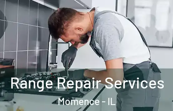  Range Repair Services Momence - IL