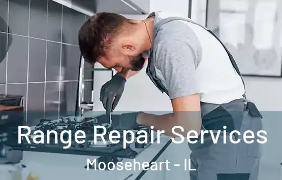  Range Repair Services Mooseheart - IL