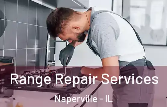  Range Repair Services Naperville - IL
