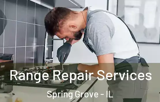  Range Repair Services Spring Grove - IL