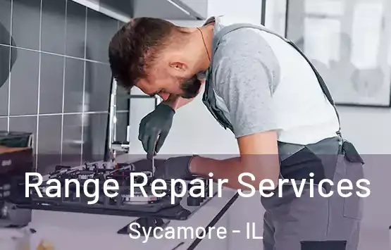  Range Repair Services Sycamore - IL