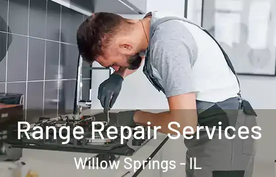  Range Repair Services Willow Springs - IL