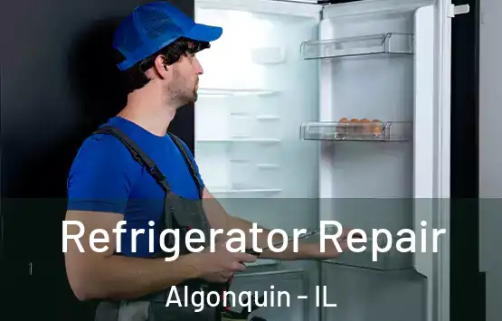  Refrigerator Repair Algonquin - IL