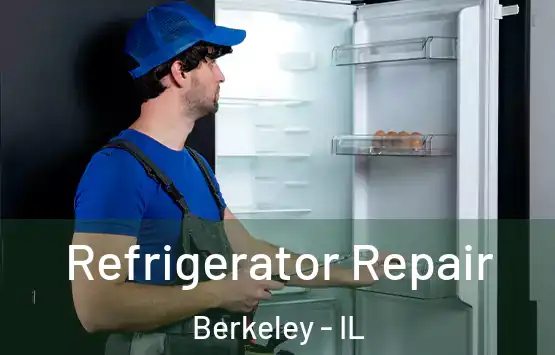  Refrigerator Repair Berkeley - IL