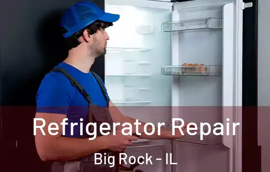  Refrigerator Repair Big Rock - IL