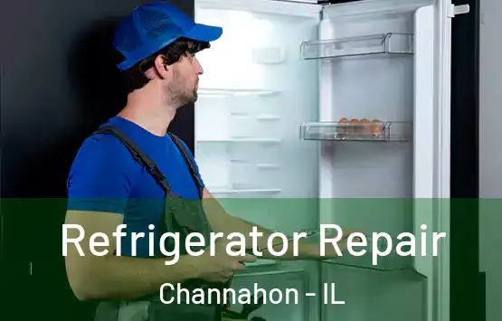  Refrigerator Repair Channahon - IL