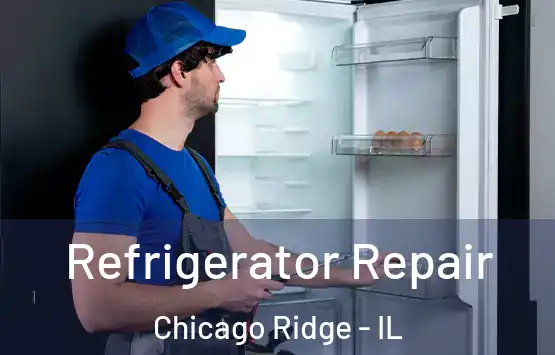  Refrigerator Repair Chicago Ridge - IL