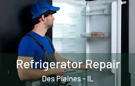  Refrigerator Repair Des Plaines - IL