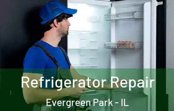  Refrigerator Repair Evergreen Park - IL