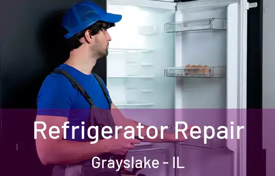  Refrigerator Repair Grayslake - IL