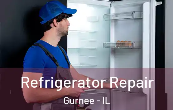  Refrigerator Repair Gurnee - IL