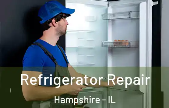  Refrigerator Repair Hampshire - IL