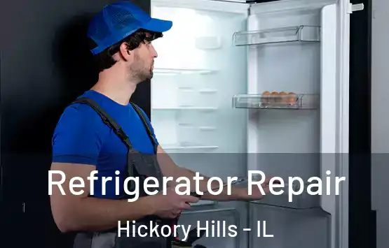  Refrigerator Repair Hickory Hills - IL