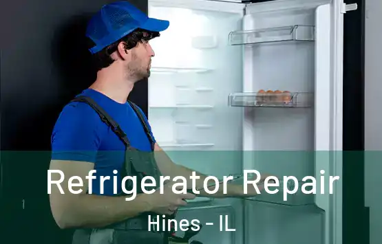  Refrigerator Repair Hines - IL