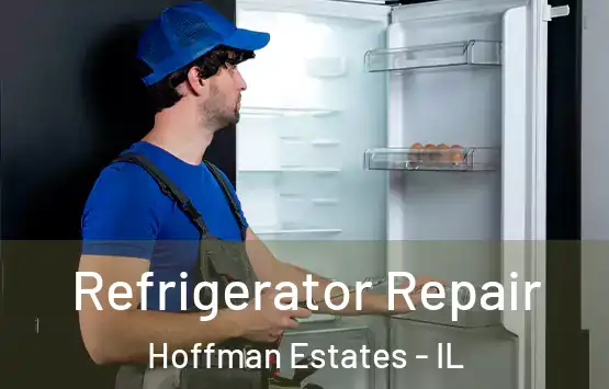  Refrigerator Repair Hoffman Estates - IL