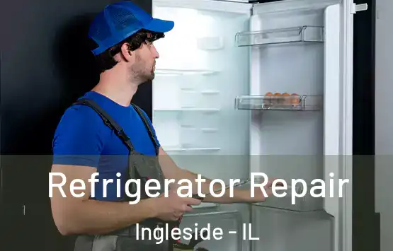  Refrigerator Repair Ingleside - IL