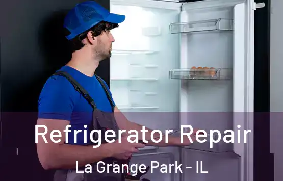  Refrigerator Repair La Grange Park - IL