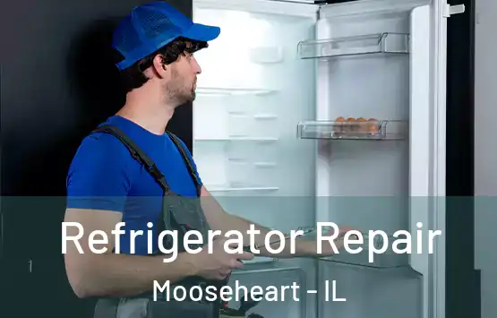  Refrigerator Repair Mooseheart - IL