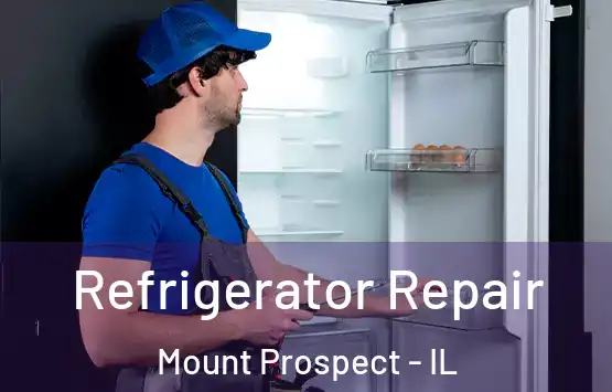  Refrigerator Repair Mount Prospect - IL