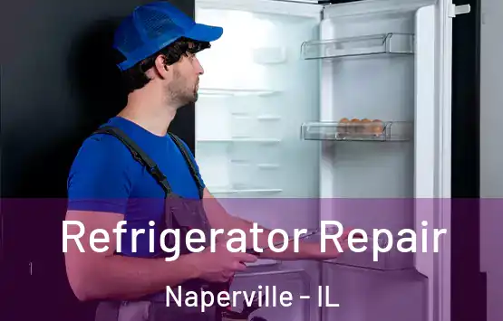  Refrigerator Repair Naperville - IL