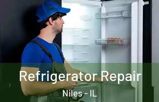  Refrigerator Repair Niles - IL