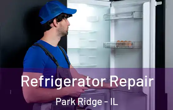  Refrigerator Repair Park Ridge - IL