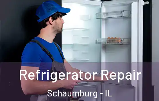  Refrigerator Repair Schaumburg - IL