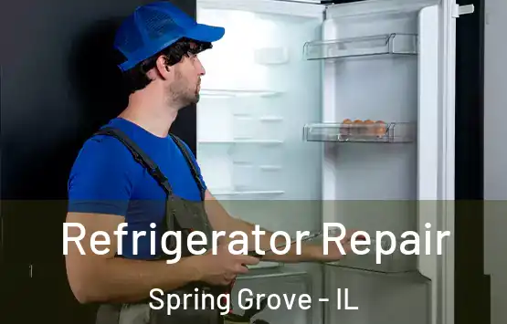  Refrigerator Repair Spring Grove - IL