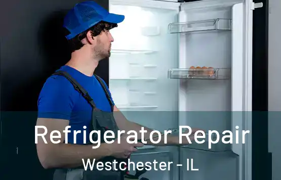  Refrigerator Repair Westchester - IL