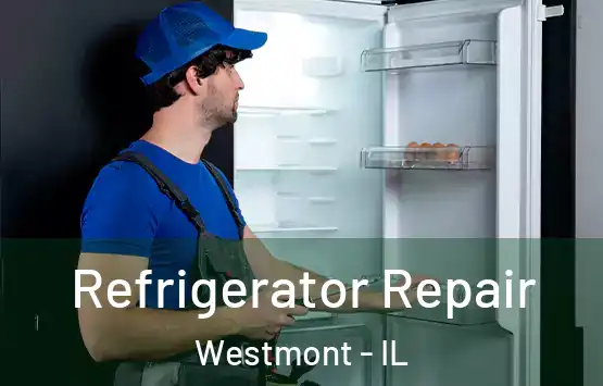  Refrigerator Repair Westmont - IL