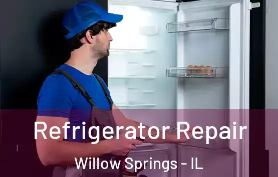  Refrigerator Repair Willow Springs - IL