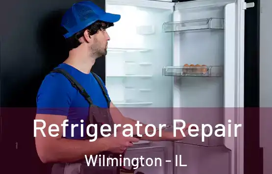  Refrigerator Repair Wilmington - IL