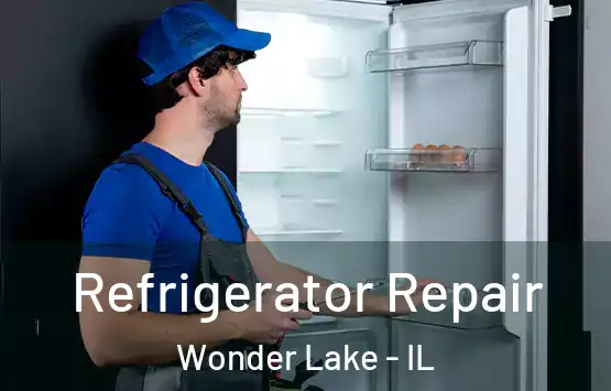  Refrigerator Repair Wonder Lake - IL