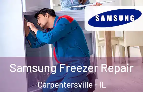  Samsung Freezer Repair Carpentersville - IL