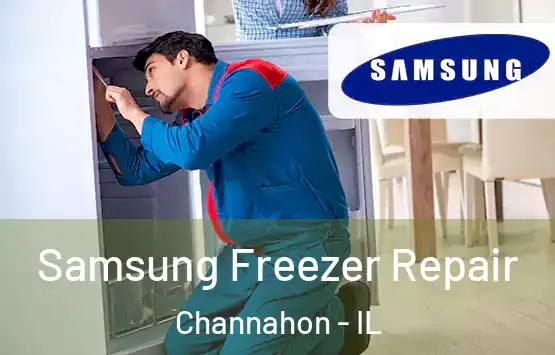  Samsung Freezer Repair Channahon - IL