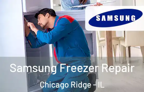  Samsung Freezer Repair Chicago Ridge - IL