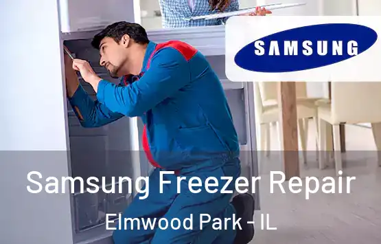  Samsung Freezer Repair Elmwood Park - IL