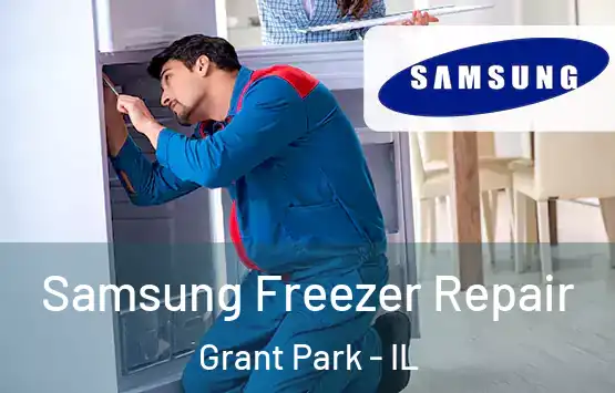  Samsung Freezer Repair Grant Park - IL