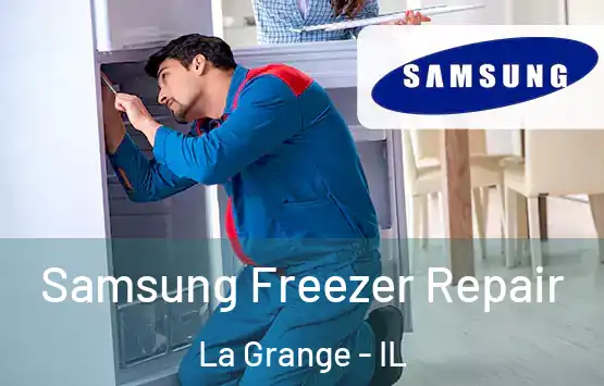  Samsung Freezer Repair La Grange - IL