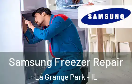  Samsung Freezer Repair La Grange Park - IL