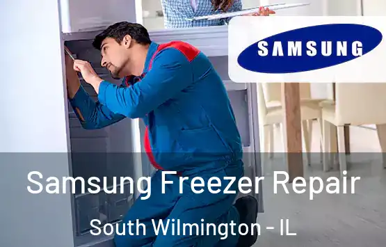  Samsung Freezer Repair South Wilmington - IL