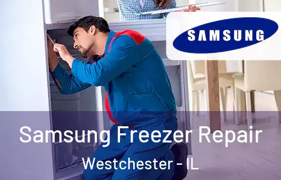  Samsung Freezer Repair Westchester - IL