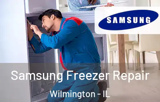  Samsung Freezer Repair Wilmington - IL