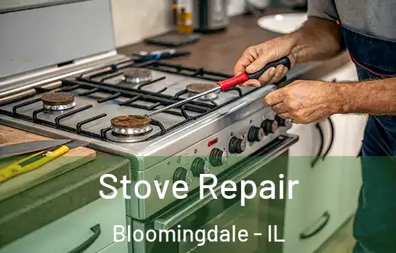 Stove Repair Bloomingdale - IL