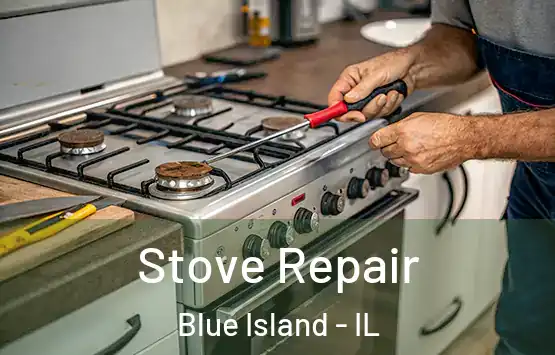  Stove Repair Blue Island - IL