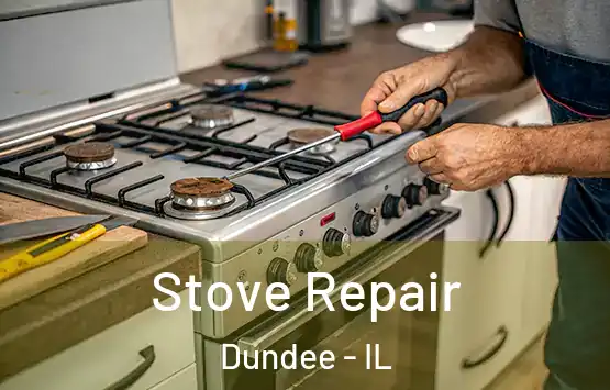  Stove Repair Dundee - IL