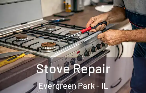  Stove Repair Evergreen Park - IL