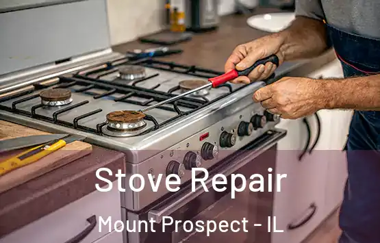  Stove Repair Mount Prospect - IL